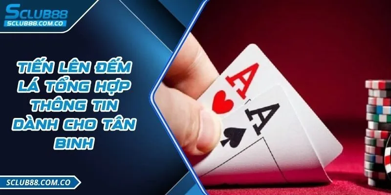 Tìm hiểu thêm về M8win và thông tin liên hệ - M8win