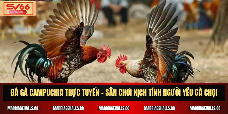 Một số ưu điểm chính của Cổng thông tin trò chơi 88Goals - 88Goals