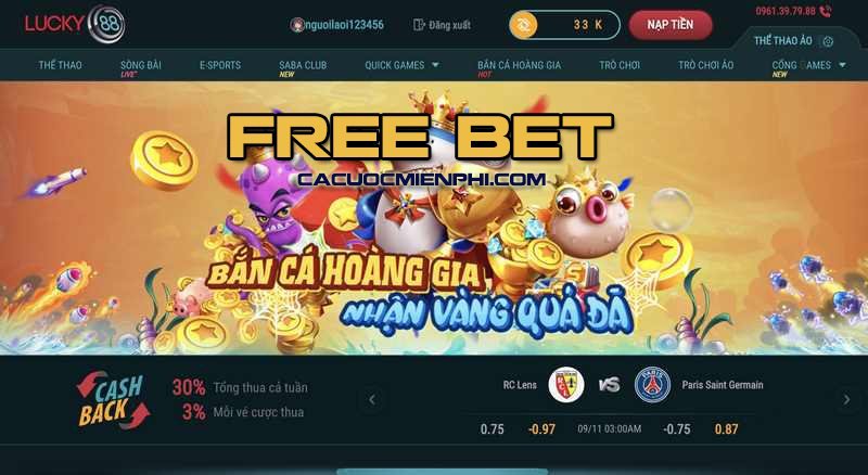 Đánh giá về nhà thi đấu bóng bàn 88Vv - 88Vv