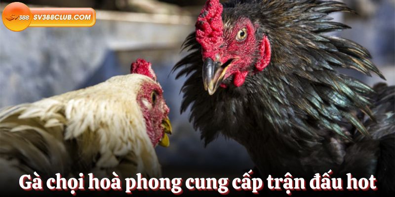 Thông tin chi tiết sản phẩm game cấp độ Vaobo88 - Vaobo88