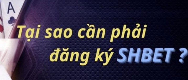 Điểm nổi bật của Vin777 Bettor - Vin777