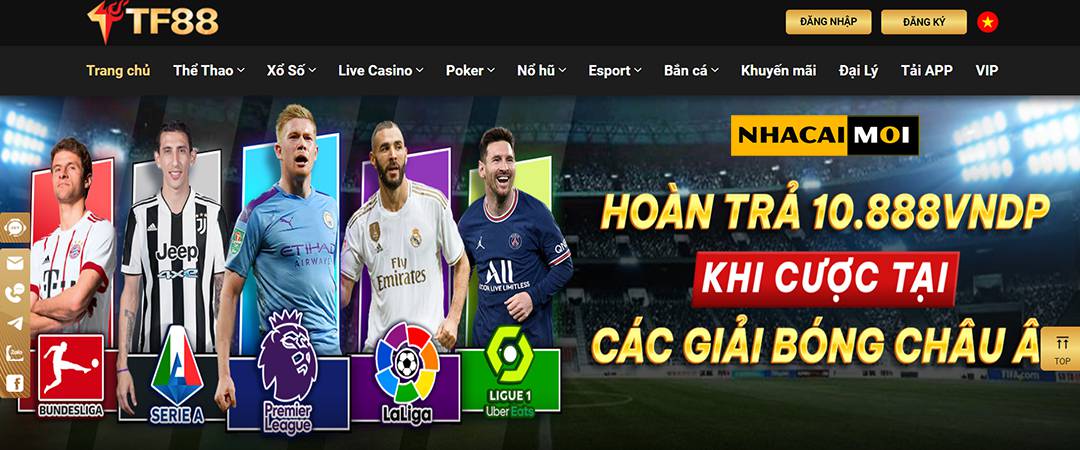 Ứng dụng di động cấp độ 1Xbet là gì? - 1Xbet