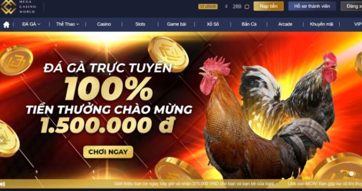 Soc88 là một trang web đánh giá game chuyên nghiệp - Soc88