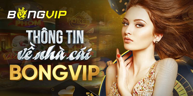98Win hoạt động ở đó như thế nào? - 98Win