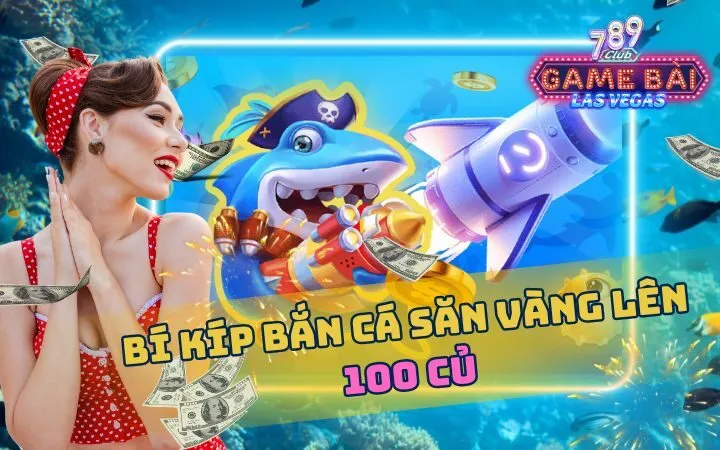 Tổng quan về lợi nhuận của người chơi cá cược cấp 85Win - 85Win