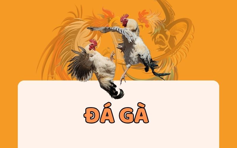 Tôi cần làm gì để gia nhập Câu lạc bộ Fic88? - Fic88