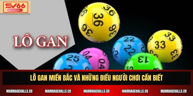 Giải mã giấc mơ về rắn (100Bet) - 100Bet