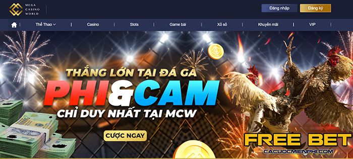 Cái tên N666, như một chiến binh, đã khắc sâu trong trái tim chúng ta - N666