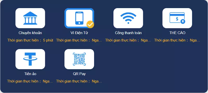 Hỗ trợ điểm truy cập chính Ricwin - Ricwin