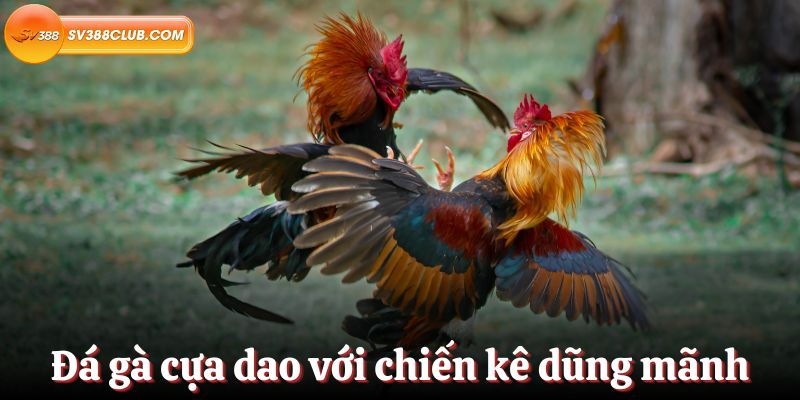 Hướng dẫn về quy trình giao dịch cơ bản trên một nền tảng giao dịch trực tuyến uy tín được xếp hạng Az888 - Az888