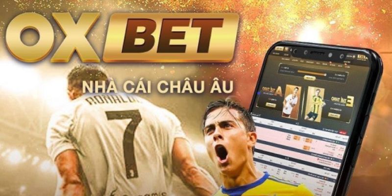 Phiên bản web Z8bet và phiên bản web khác nhau ở điểm nào? - Z8bet