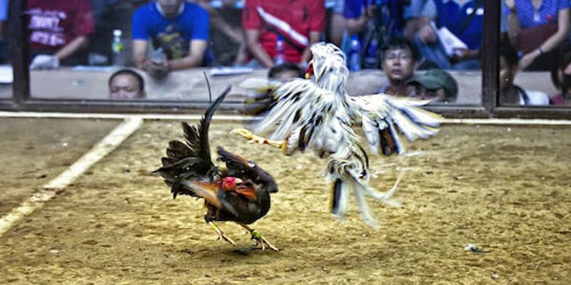 Các sòng bạc trực tuyến được xếp hạng 11Bet cung cấp các loại trò chơi thú vị và hấp dẫn - 11Bet